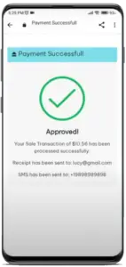 payment successful - NO BACKGROUND